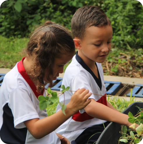 Preescolar-section4-img1