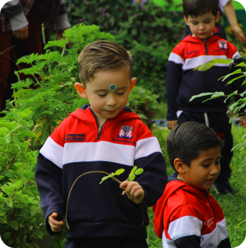 Preescolar-section4-img2