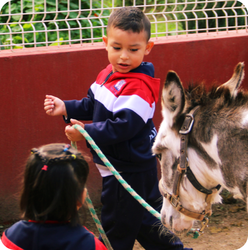 Preescolar-section4-img3