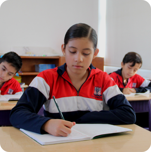 Primaria-section4-img4