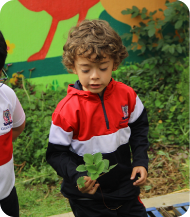 Ambiental-section2-img1