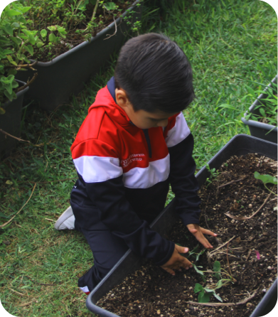 Ambiental-section2-img2