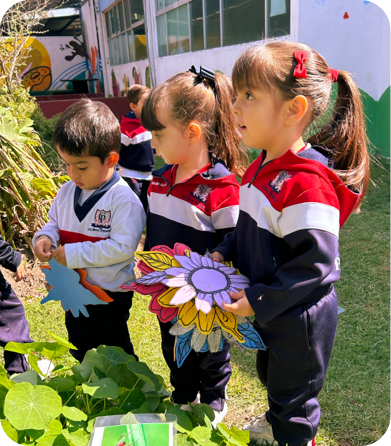 Ambiental-section2-img3