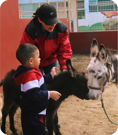 Ambiental-section3-img1