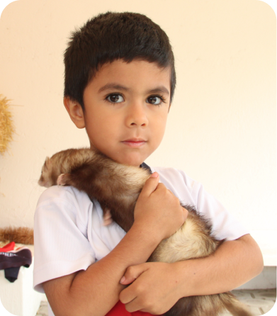 Ambiental-section3-img2