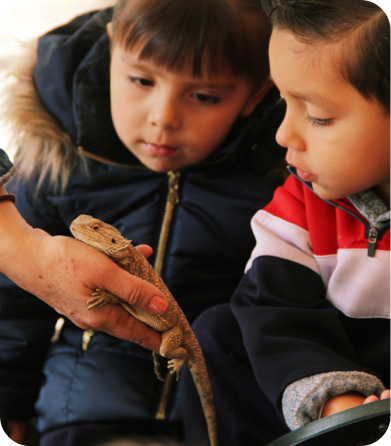 Ambiental-section3-img3